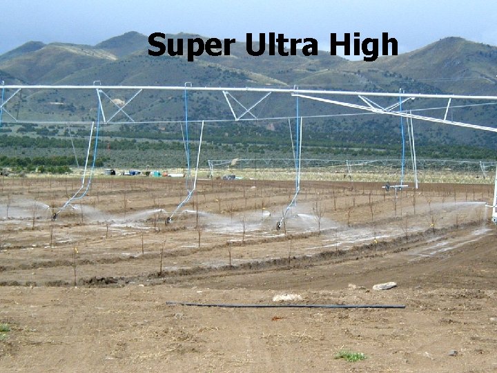 Super Ultra High 