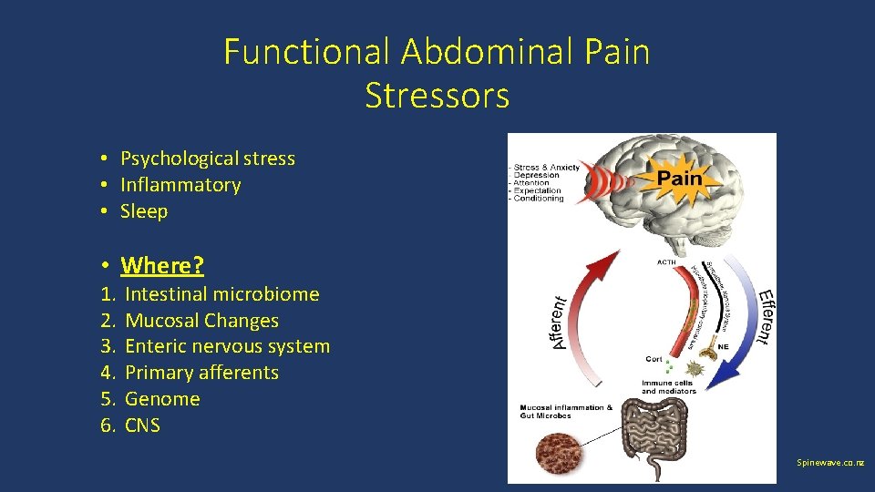 Functional Abdominal Pain Stressors • Psychological stress • Inflammatory • Sleep • Where? 1.
