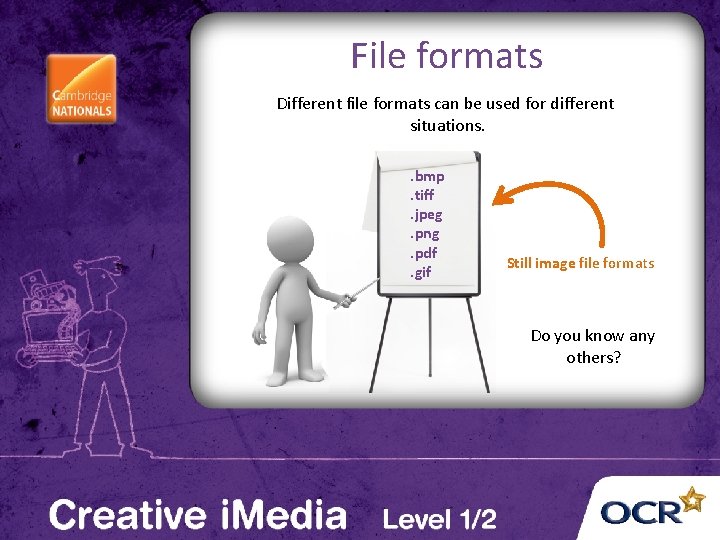 File formats Different file formats can be used for different situations. . bmp. tiff.