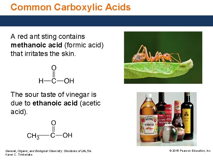 Common Carboxylic Acids A red ant sting contains methanoic acid (formic acid) that irritates