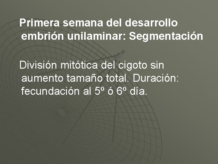 Primera semana del desarrollo embrión unilaminar: Segmentación División mitótica del cigoto sin aumento tamaño