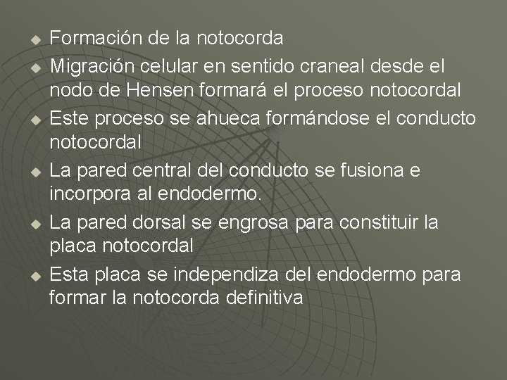 u u u Formación de la notocorda Migración celular en sentido craneal desde el