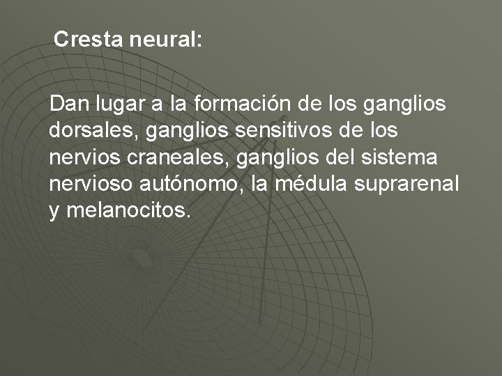 Cresta neural: Dan lugar a la formación de los ganglios dorsales, ganglios sensitivos de