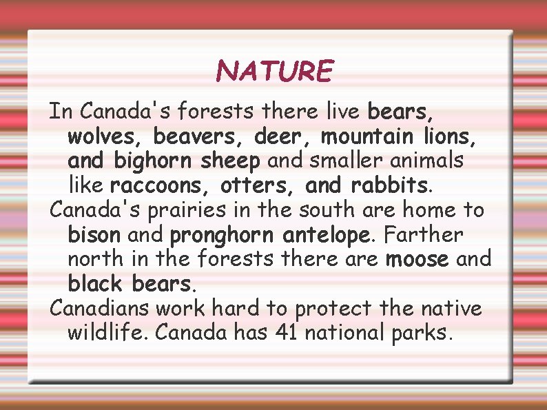 NATURE In Canada's forests there live bears, wolves, beavers, deer, mountain lions, and bighorn