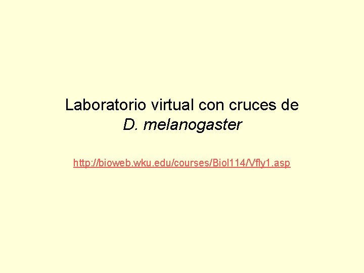Laboratorio virtual con cruces de D. melanogaster http: //bioweb. wku. edu/courses/Biol 114/Vfly 1. asp