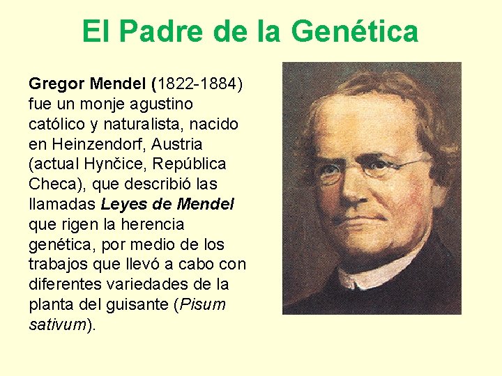 El Padre de la Genética Gregor Mendel (1822 -1884) fue un monje agustino católico