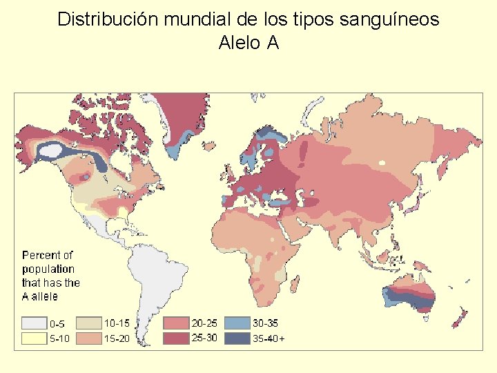 Distribución mundial de los tipos sanguíneos Alelo A 