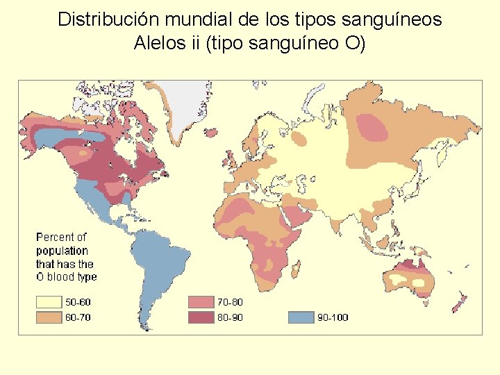 Distribución mundial de los tipos sanguíneos Alelos ii (tipo sanguíneo O) 