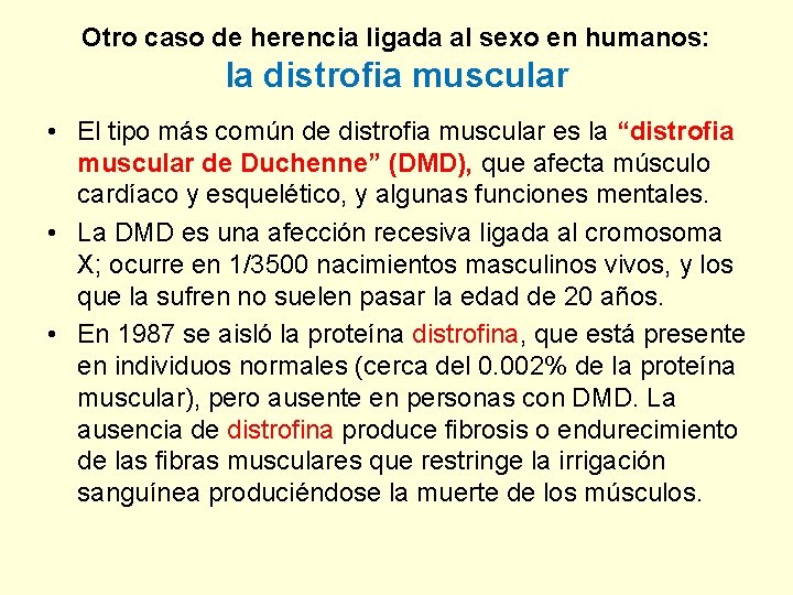 Otro caso de herencia ligada al sexo en humanos: la distrofia muscular • El