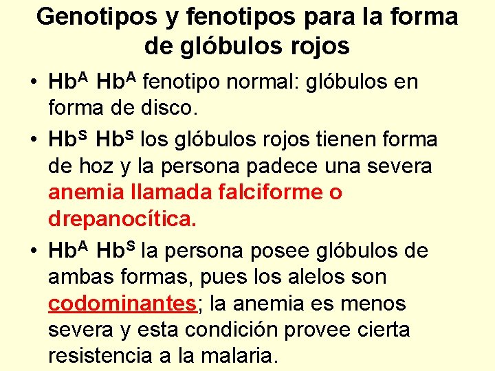 Genotipos y fenotipos para la forma de glóbulos rojos • Hb. A fenotipo normal: