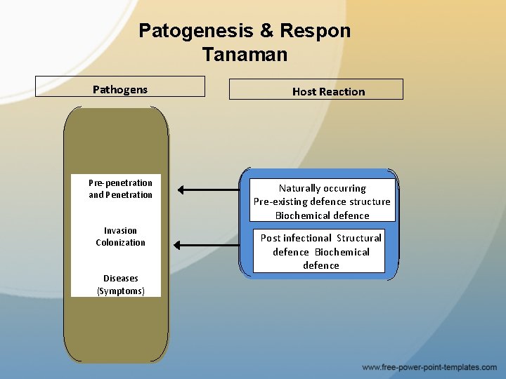 Patogenesis & Respon Tanaman Pathogens Pre-penetration and Penetration Invasion Colonization Diseases (Symptoms) Host Reaction