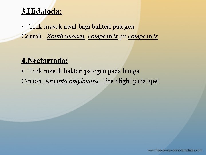 3. Hidatoda: • Titik masuk awal bagi bakteri patogen Contoh. Xanthomonas campestris pv. campestris