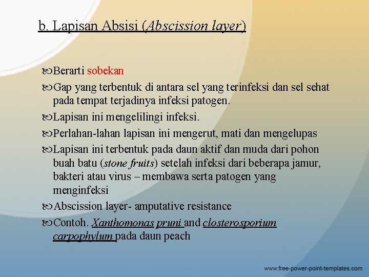 b. Lapisan Absisi (Abscission layer) Berarti sobekan Gap yang terbentuk di antara sel yang