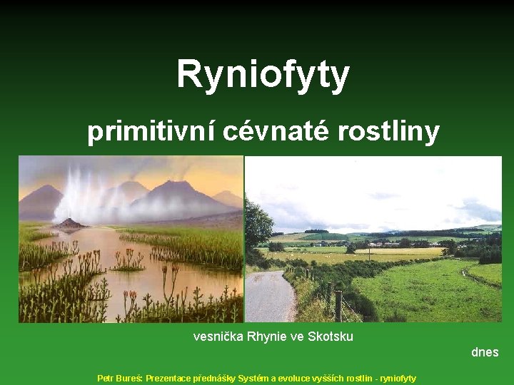 Ryniofyty primitivní cévnaté rostliny vesnička Rhynie ve Skotsku dnes Petr Bureš: Prezentace přednášky Systém