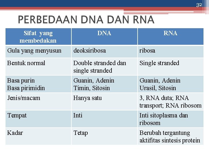 32 Sifat yang membedakan DNA RNA Gula yang menyusun deoksiribosa Bentuk normal Double stranded