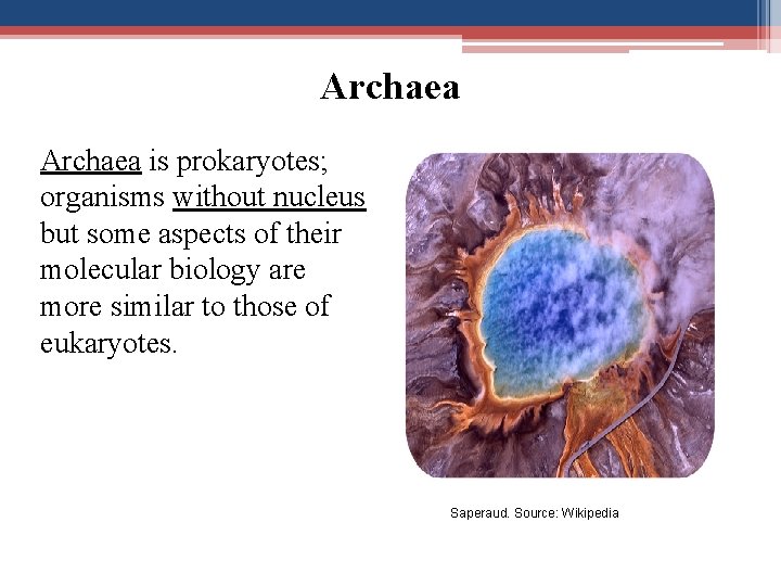 Archaea is prokaryotes; organisms without nucleus but some aspects of their molecular biology are