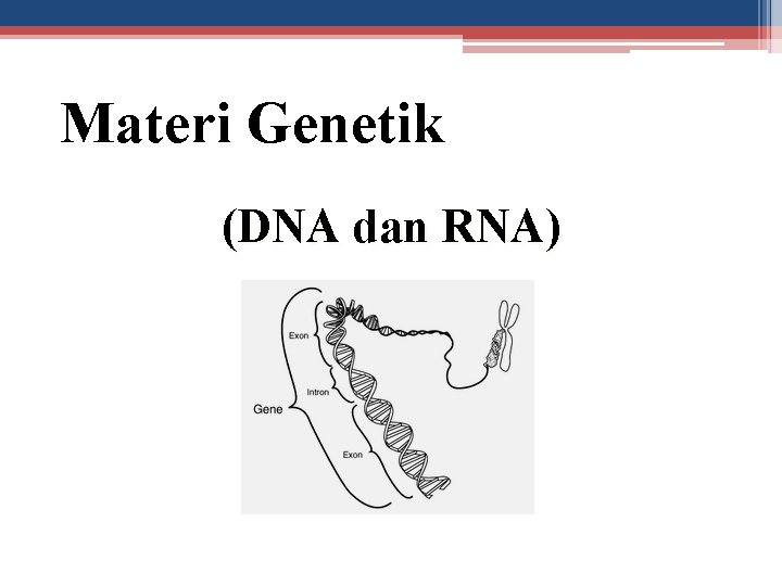 Materi Genetik (DNA dan RNA) 