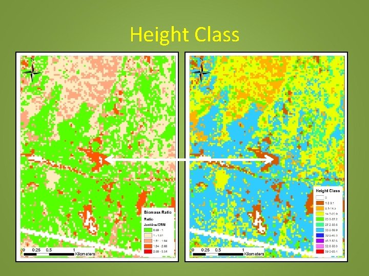 Height Class 