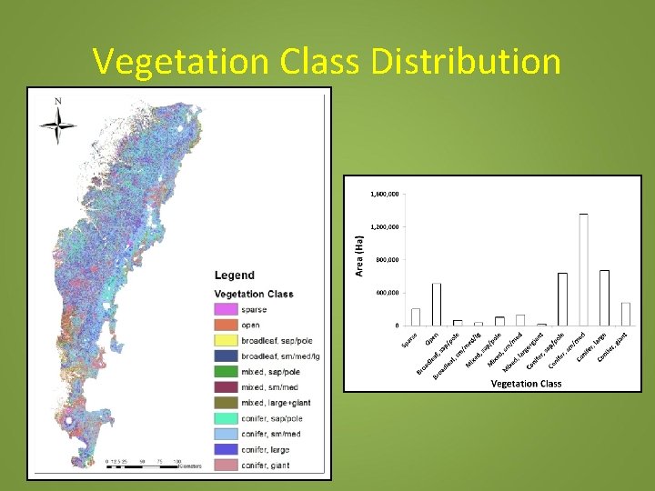 Vegetation Class Distribution 