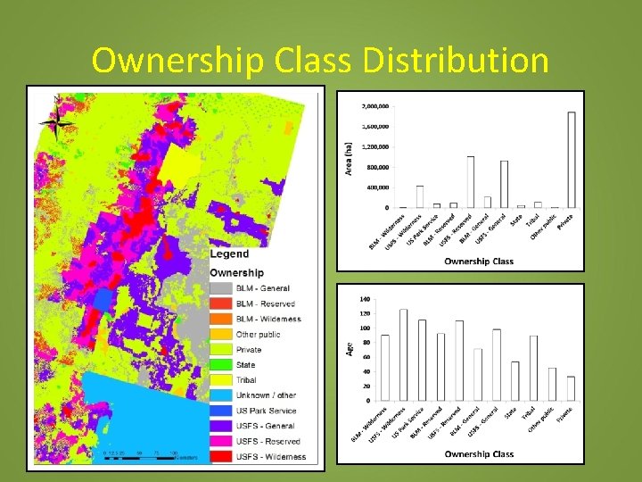 Ownership Class Distribution 