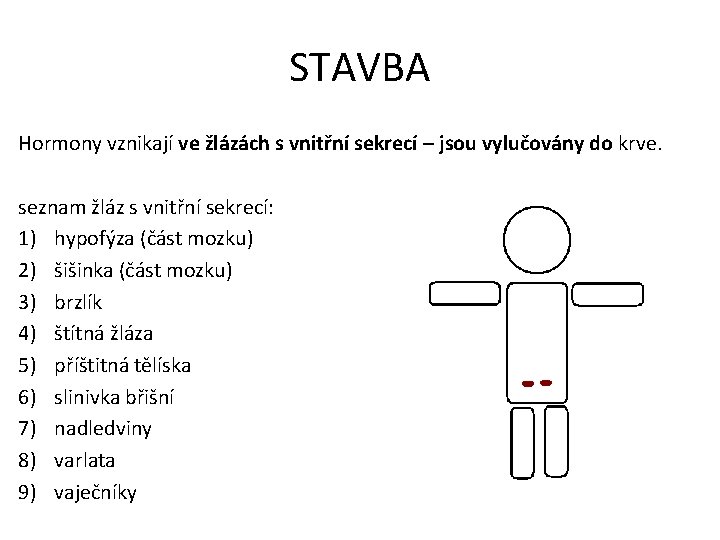 STAVBA Hormony vznikají ve žlázách s vnitřní sekrecí – jsou vylučovány do krve. seznam