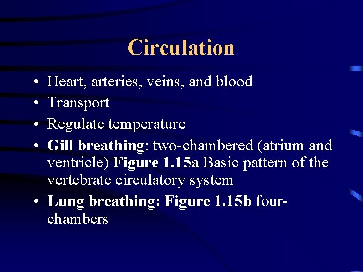 Circulation • • Heart, arteries, veins, and blood Transport Regulate temperature Gill breathing: two-chambered