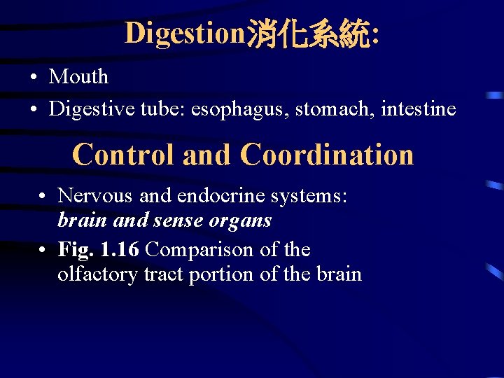 Digestion消化系統: • Mouth • Digestive tube: esophagus, stomach, intestine Control and Coordination • Nervous