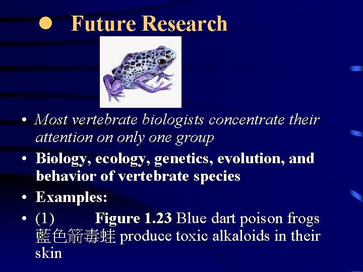 l Future Research • Most vertebrate biologists concentrate their attention on only one group