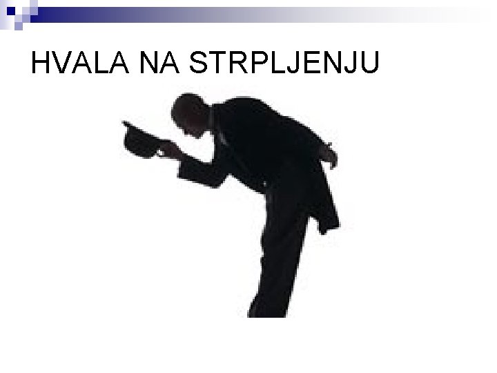 HVALA NA STRPLJENJU 