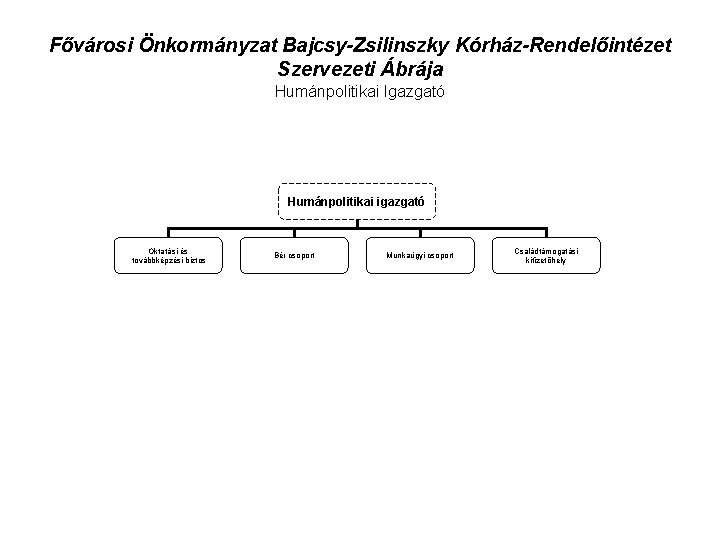 Fővárosi Önkormányzat Bajcsy-Zsilinszky Kórház-Rendelőintézet Szervezeti Ábrája Humánpolitikai Igazgató Humánpolitikai igazgató Oktatási és továbbképzési biztos