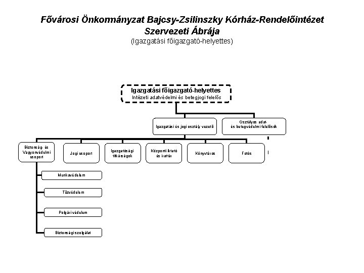 Fővárosi Önkormányzat Bajcsy-Zsilinszky Kórház-Rendelőintézet Szervezeti Ábrája (Igazgatási főigazgató-helyettes) Igazgatási főigazgató-helyettes Intézeti adatvédelmi és betegjogi