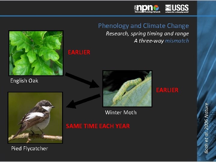Phenology and Climate Change Research, spring timing and range A three-way mismatch EARLIER English