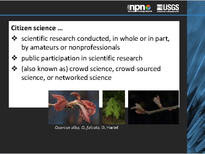 Citizen science … v scientific research conducted, in whole or in part, by amateurs