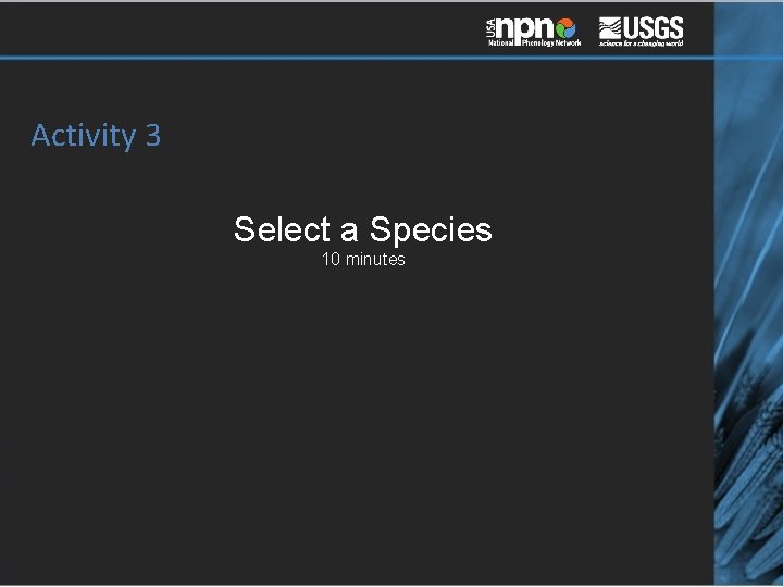 Activity 3 Select a Species 10 minutes 