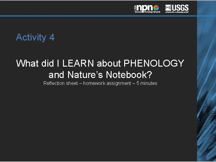 Activity 4 What did I LEARN about PHENOLOGY and Nature’s Notebook? Reflection sheet –
