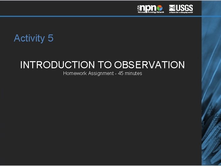 Activity 5 INTRODUCTION TO OBSERVATION Homework Assignment - 45 minutes 