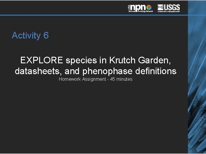 Activity 6 EXPLORE species in Krutch Garden, datasheets, and phenophase definitions Homework Assignment -