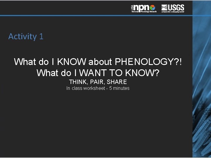 Activity 1 What do I KNOW about PHENOLOGY? ! What do I WANT TO
