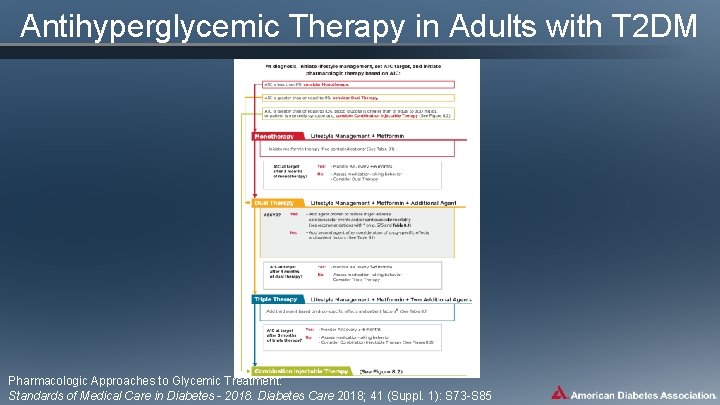 Antihyperglycemic Therapy in Adults with T 2 DM Pharmacologic Approaches to Glycemic Treatment: Standards