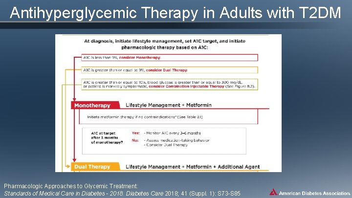 Antihyperglycemic Therapy in Adults with T 2 DM Pharmacologic Approaches to Glycemic Treatment: Standards