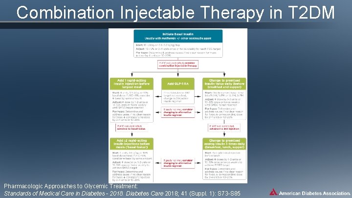 Combination Injectable Therapy in T 2 DM Pharmacologic Approaches to Glycemic Treatment: Standards of