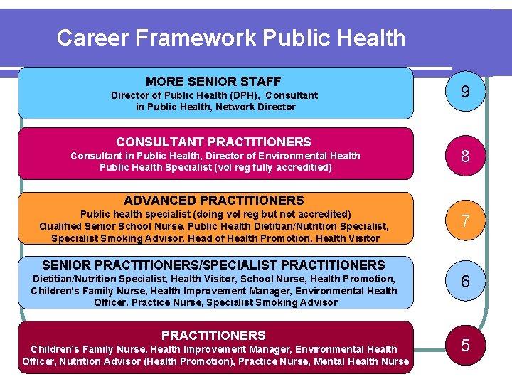 Career Framework Public Health MORE SENIOR STAFF Director of Public Health (DPH), Consultant in