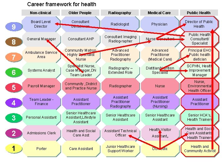 Career framework for health Non-clinical Older People Radiography Medical Care Public Health Board Level