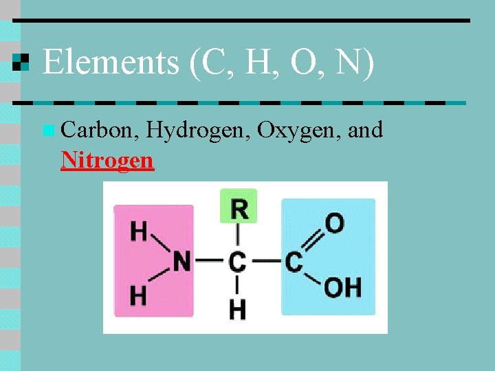 Elements (C, H, O, N) n Carbon, Hydrogen, Oxygen, and Nitrogen 
