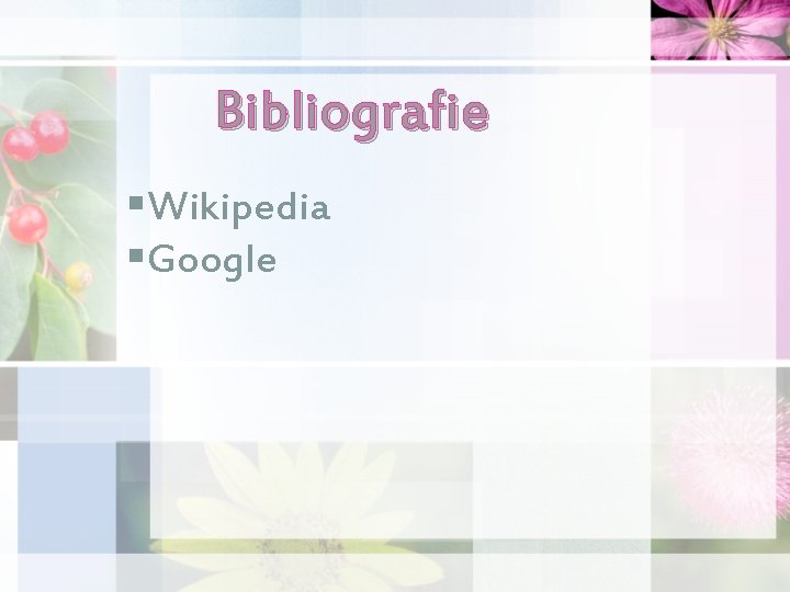 Bibliografie §Wikipedia §Google Bibliografie §Wikipedia §Google