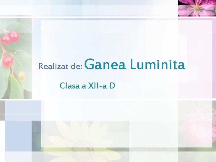 Realizat de: Ganea Luminita Clasa a XII-a D Realizat de: Ganea Luminita Clasa a XII-a D