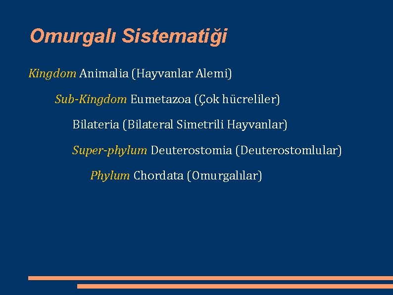 Omurgalı Sistematiği Kingdom Animalia (Hayvanlar Alemi) Sub-Kingdom Eumetazoa (Çok hücreliler) Bilateria (Bilateral Simetrili Hayvanlar)