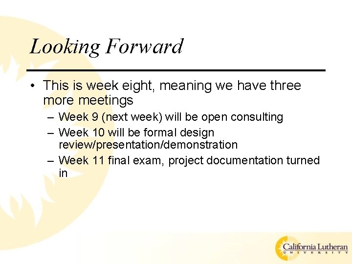 Looking Forward • This is week eight, meaning we have three more meetings –