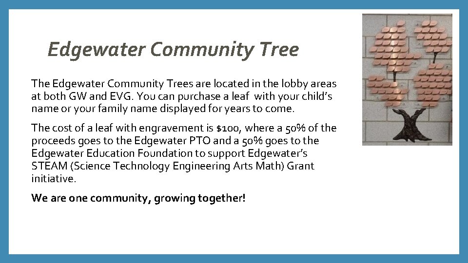 Edgewater Community Tree The Edgewater Community Trees are located in the lobby areas at