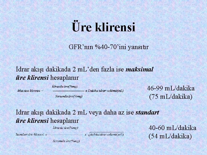 Üre klirensi GFR’nın %40 -70’ini yansıtır İdrar akışı dakikada 2 m. L’den fazla ise